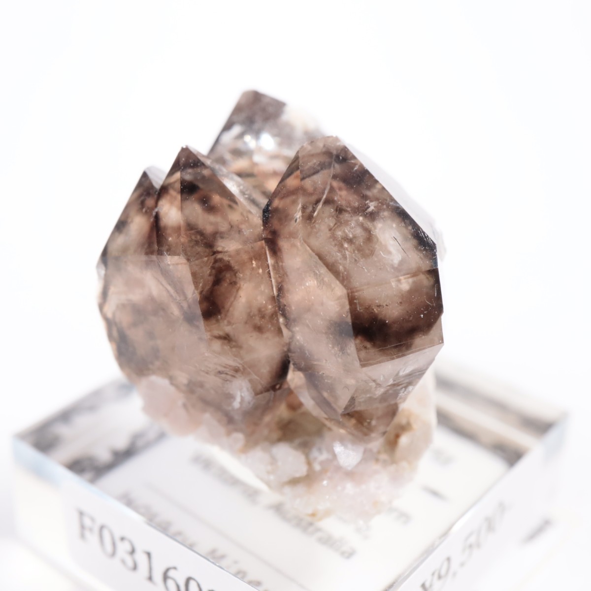 �������ȥ�ꥢ�� ����徽