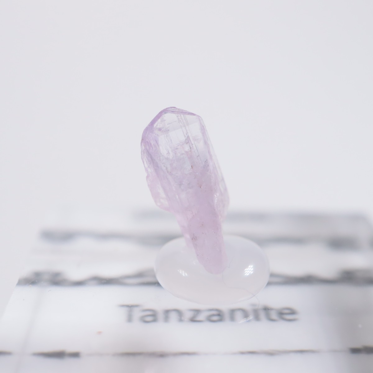 ����˥ҥ륺�� ���󥶥ʥ���