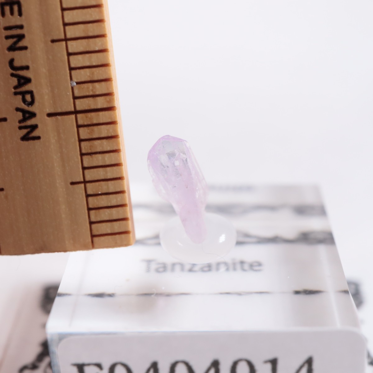 ����˥ҥ륺�� ���󥶥ʥ���