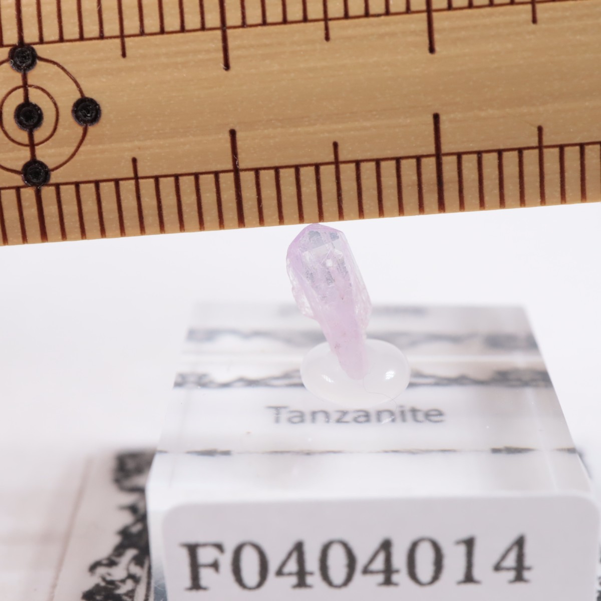 ����˥ҥ륺�� ���󥶥ʥ���