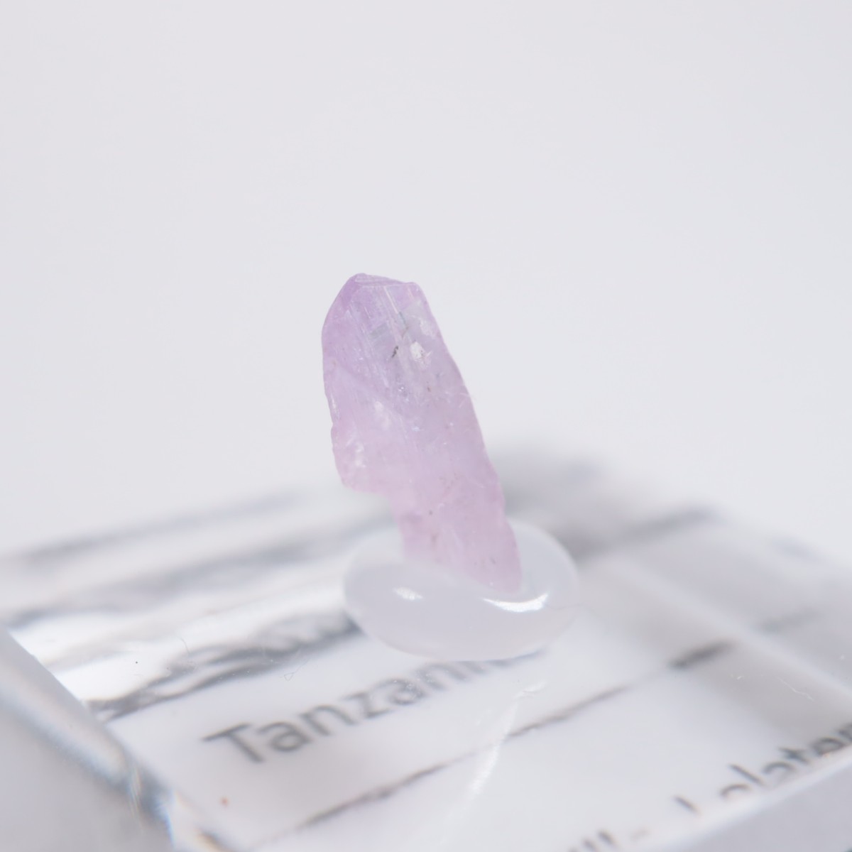 ����˥ҥ륺�� ���󥶥ʥ���