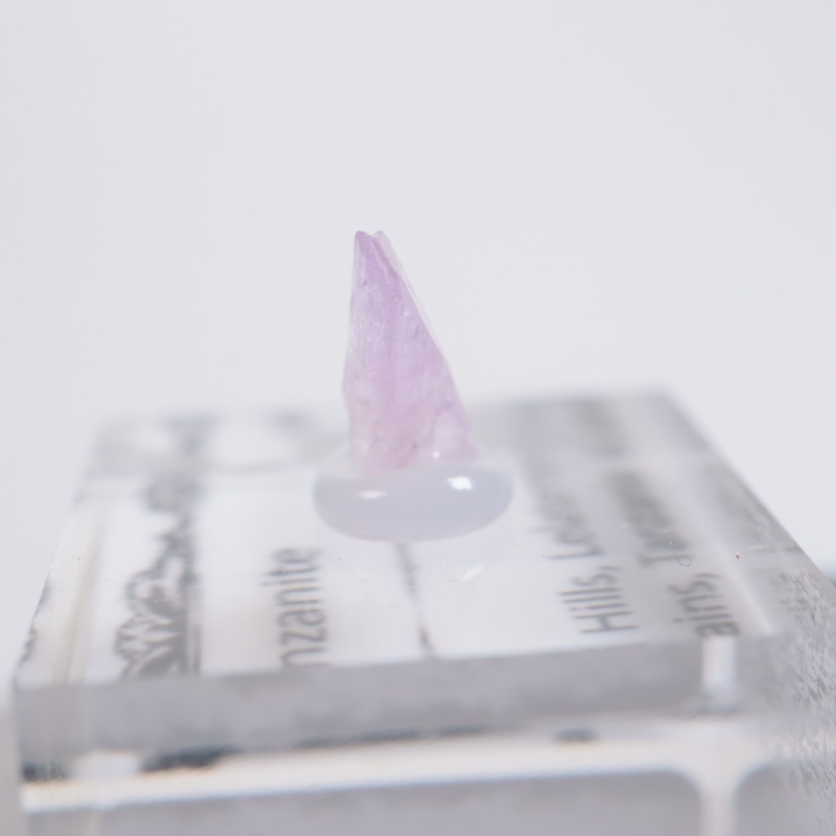 ����˥ҥ륺�� ���󥶥ʥ���