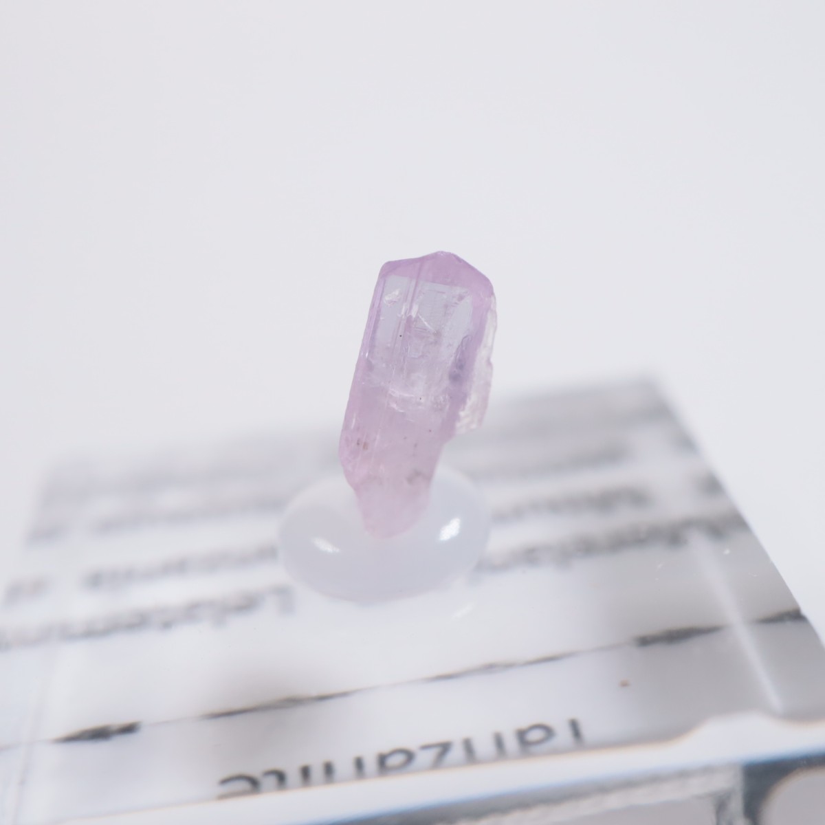 ����˥ҥ륺�� ���󥶥ʥ���