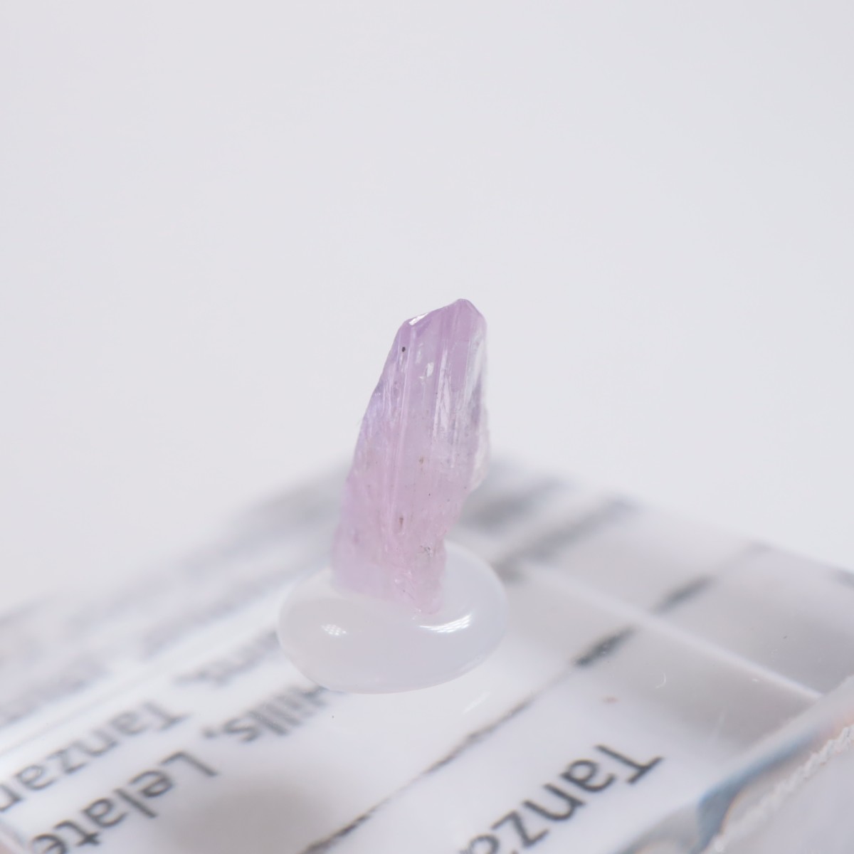 ����˥ҥ륺�� ���󥶥ʥ���