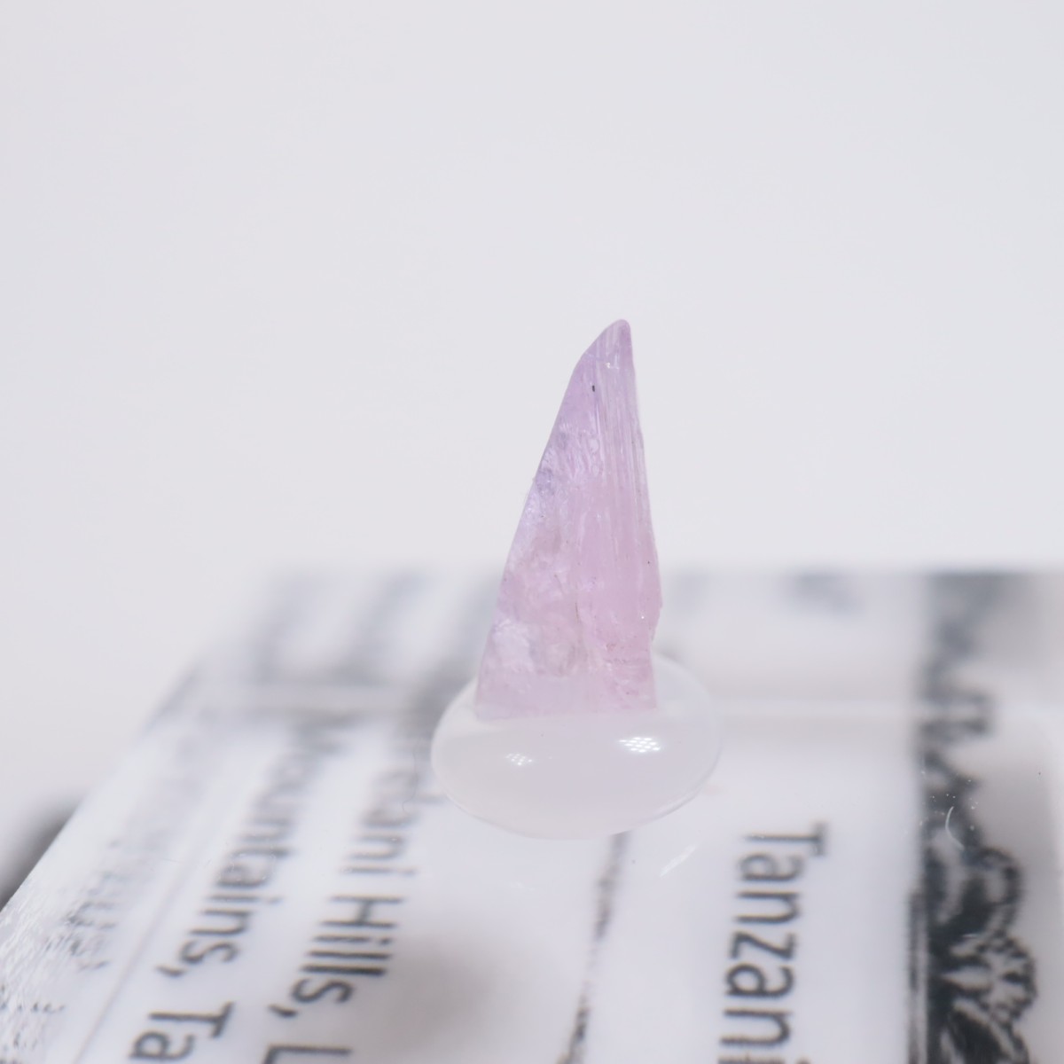 ����˥ҥ륺�� ���󥶥ʥ���