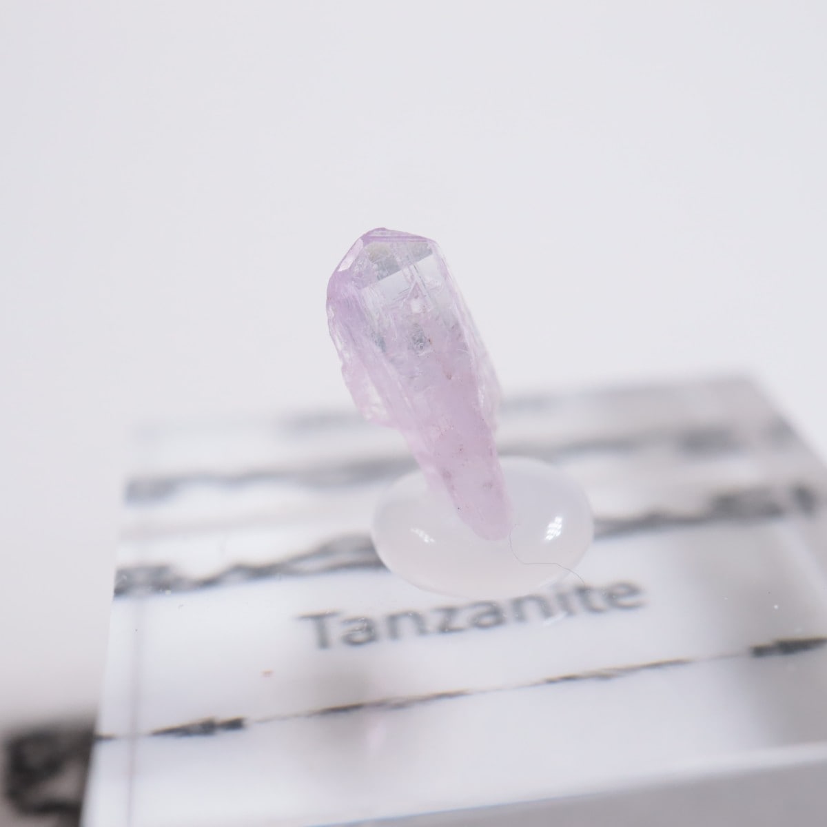 ����˥ҥ륺�� ���󥶥ʥ���