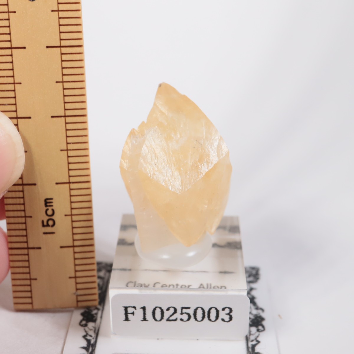 ���ϥ����� ���륵����