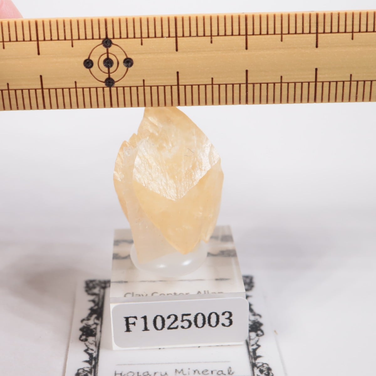 ���ϥ����� ���륵����