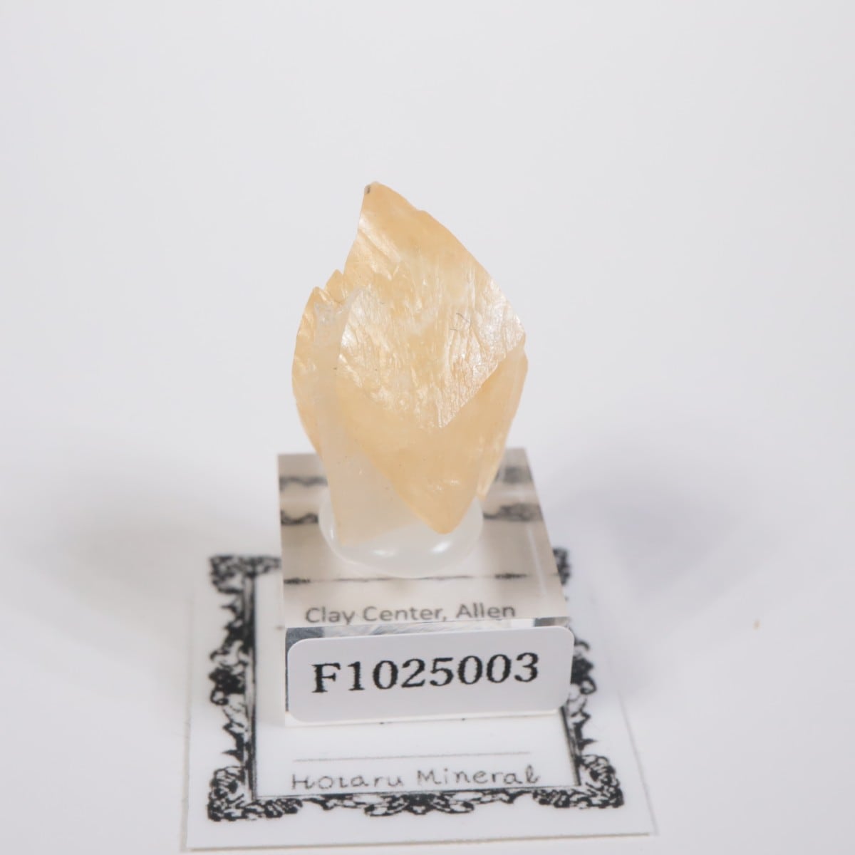 ���ϥ����� ���륵����