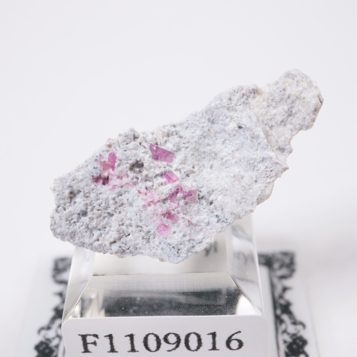 �楿���� ��åɥ٥��