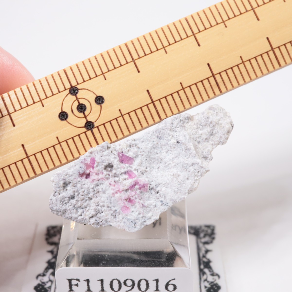 �楿���� ��åɥ٥��