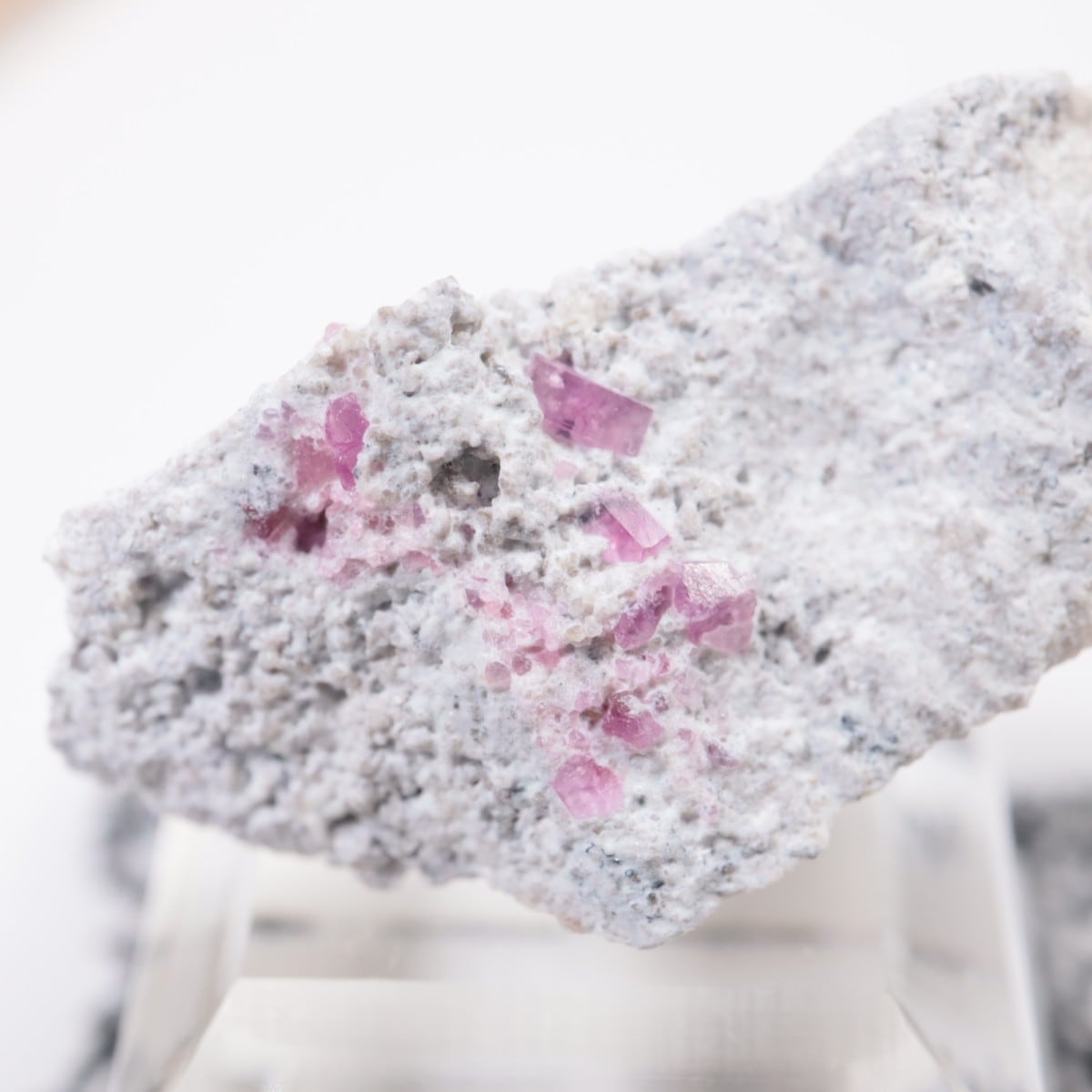 �楿���� ��åɥ٥��