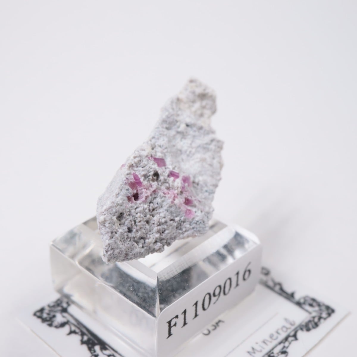 �楿���� ��åɥ٥��