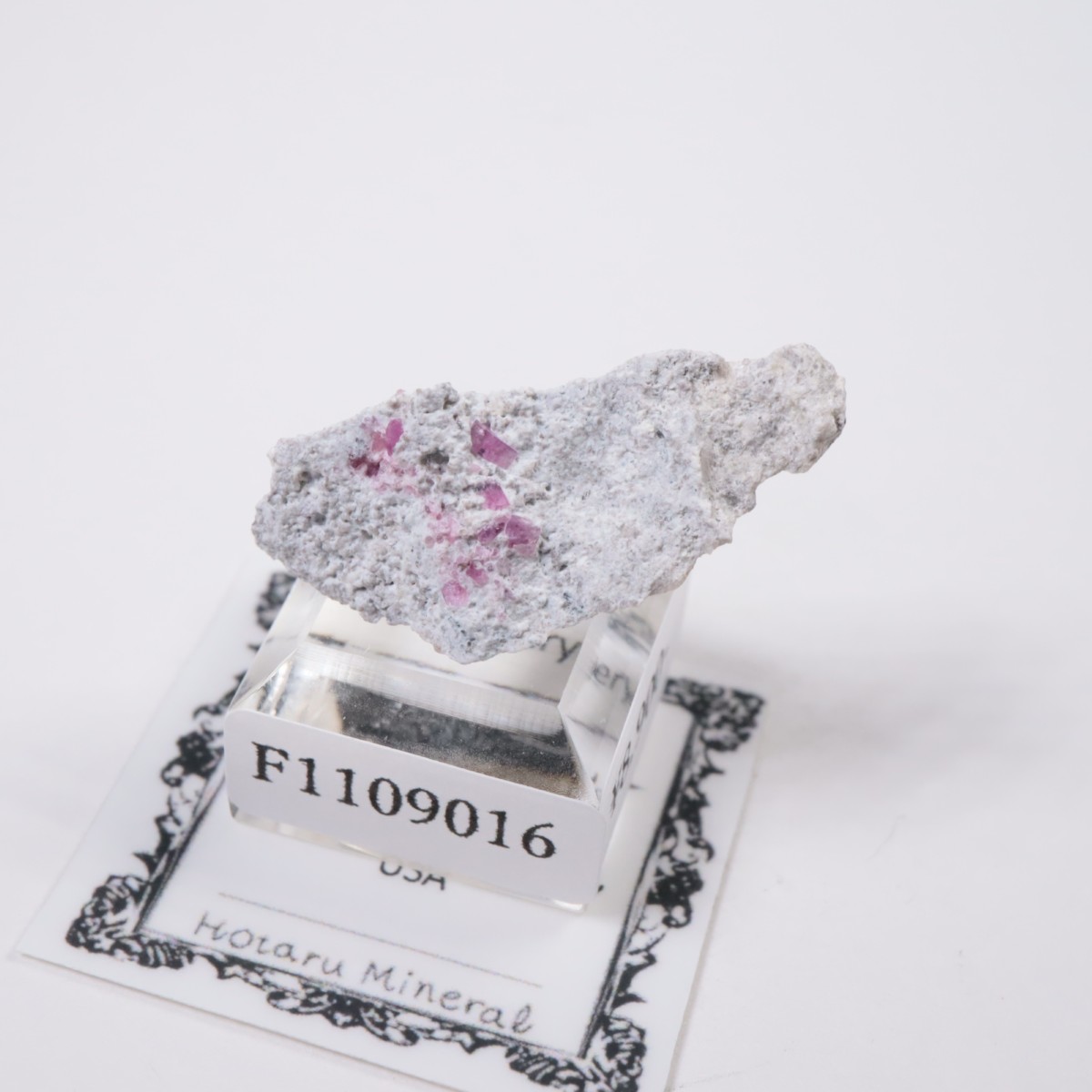 �楿���� ��åɥ٥��