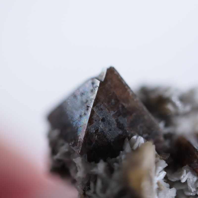 ���ʥ��������륳��