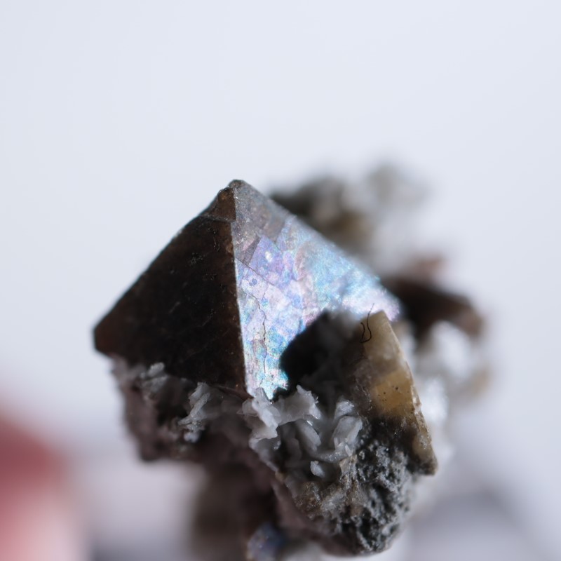 ���ʥ��������륳��