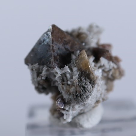 ���ʥ��������륳��