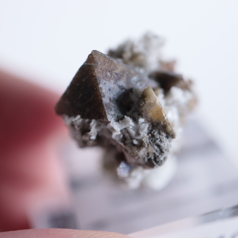 ���ʥ��������륳��