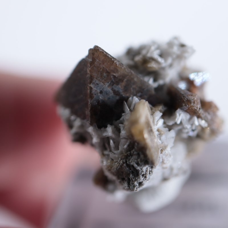 ���ʥ��������륳��