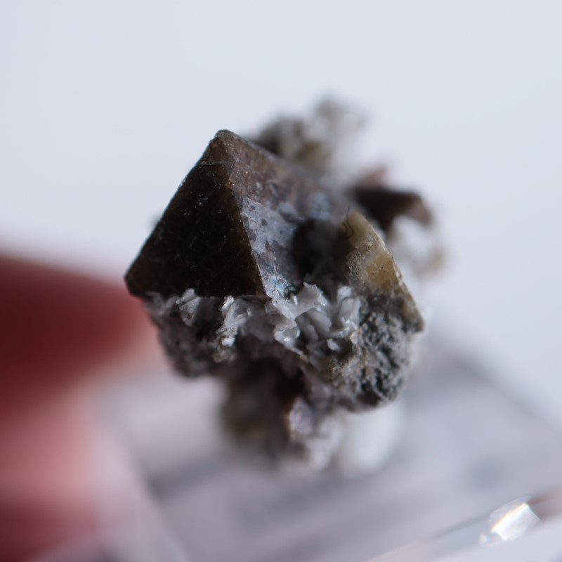 ���ʥ��������륳��