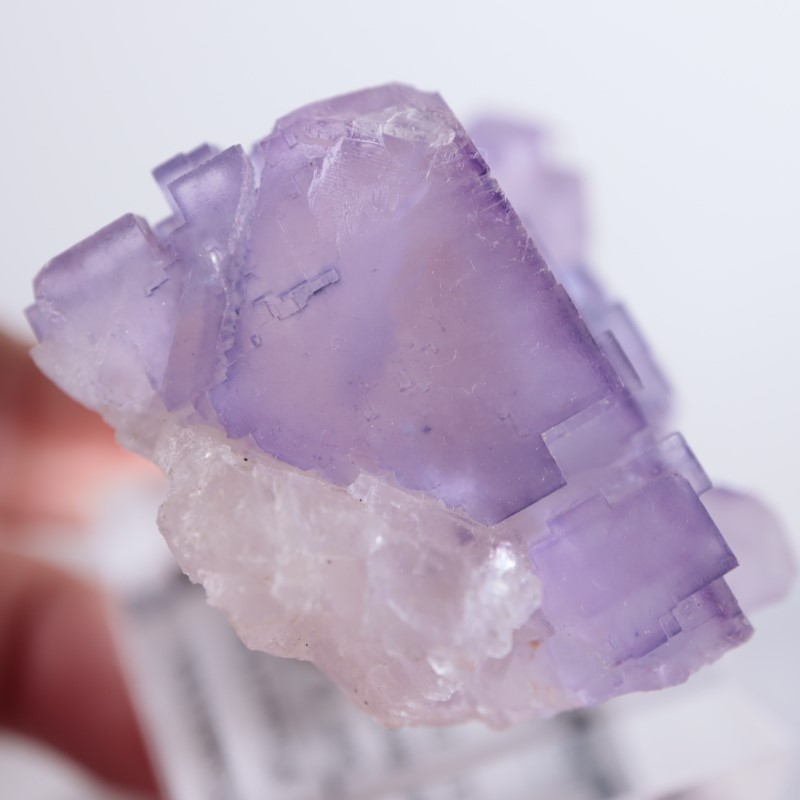 螢石 イリノイ州産 フローライト（蛍石） | 鉱物標本,ハ行,フローライト/蛍