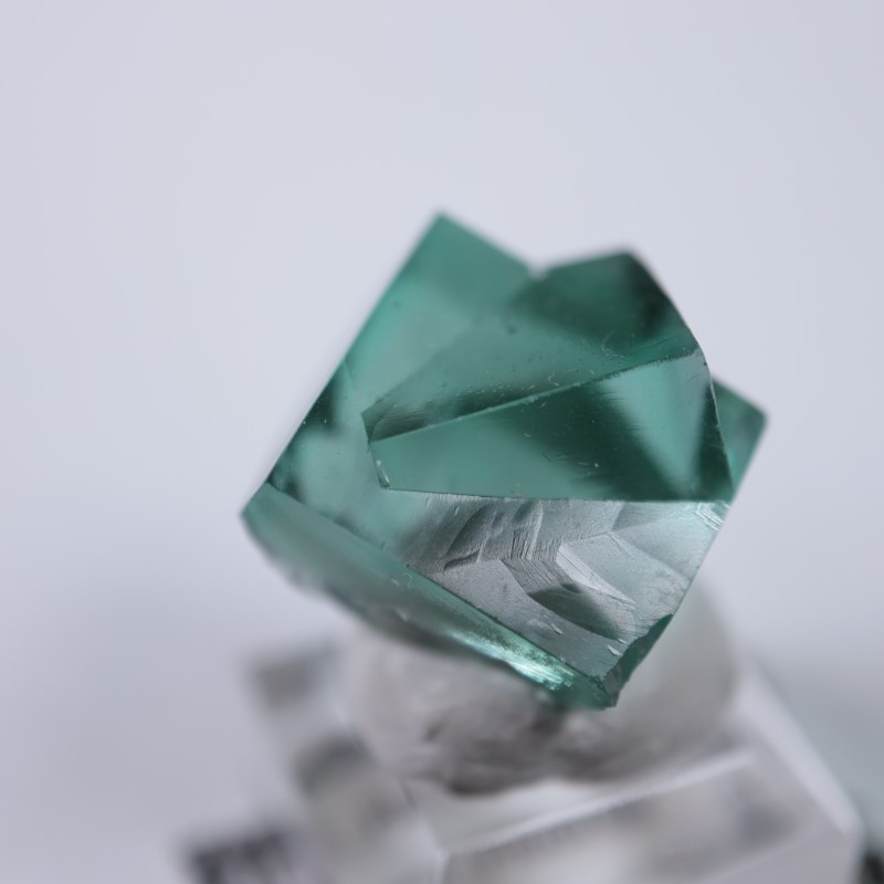 レディアナベラ鉱山 フローライト | 鉱物標本,ハ行,フローライト/蛍石