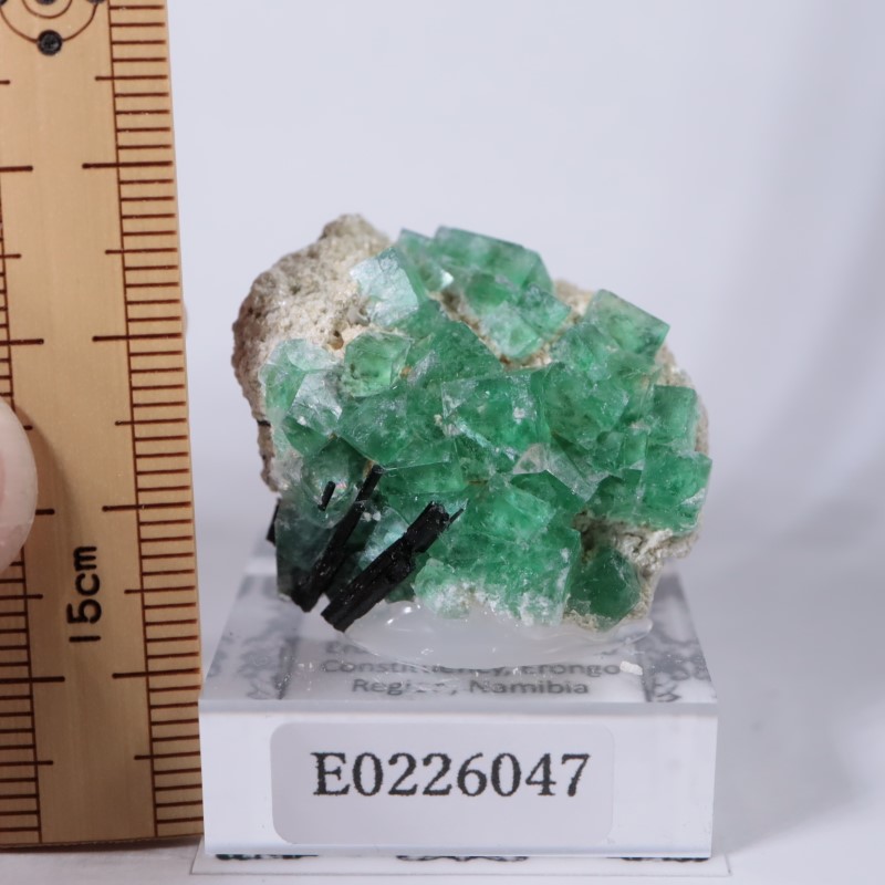 ゲルマニウム鉱石 ころころローラー geru20150420-2.jpg