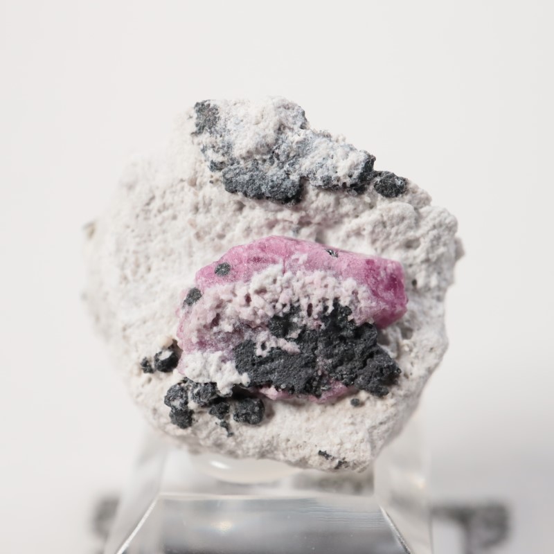 �楿��������åɥ٥��