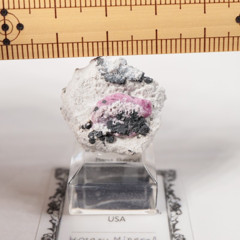 �楿��������åɥ٥��