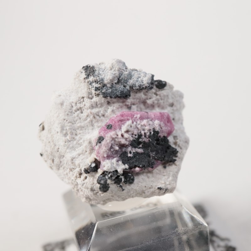 �楿��������åɥ٥��