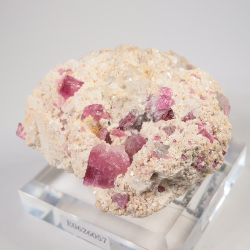 �֥饸�뻺���ȥ�ޥ��