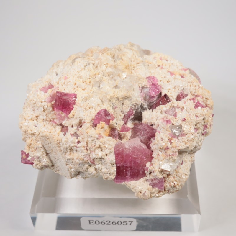 �֥饸�뻺���ȥ�ޥ��