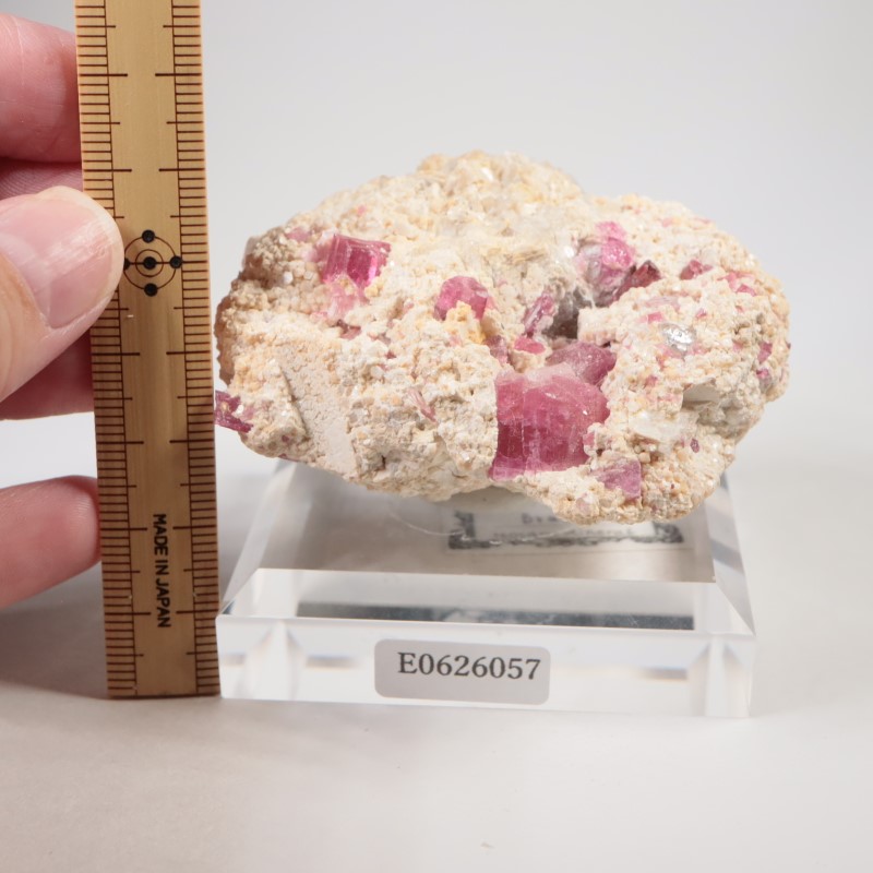 �֥饸�뻺���ȥ�ޥ��