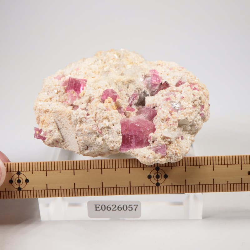 �֥饸�뻺���ȥ�ޥ��