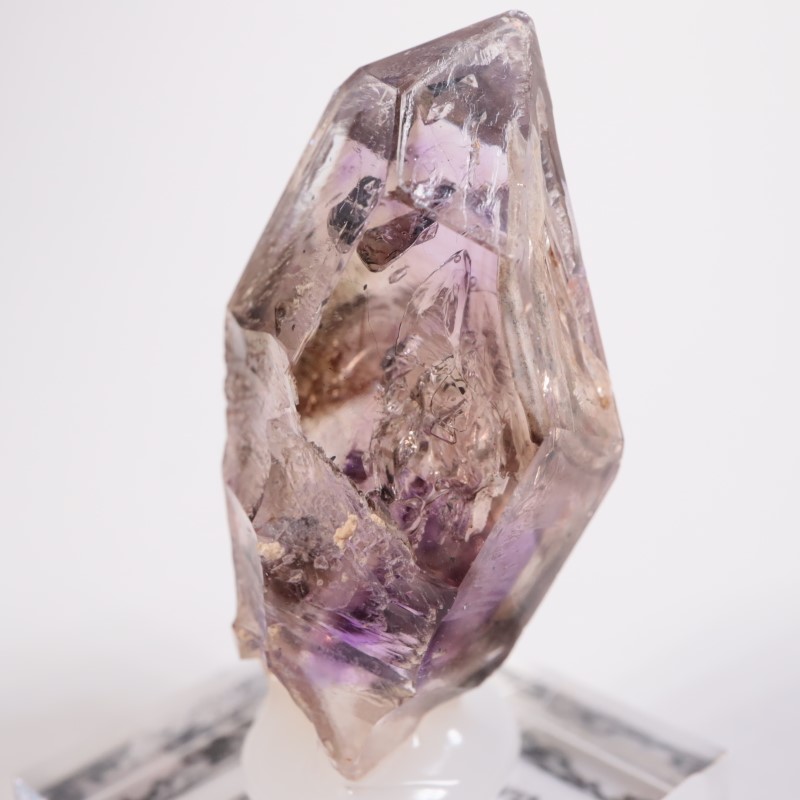 �֥��ɥС������������ꥢ�᥷����