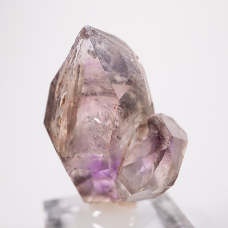 �֥��ɥС������������ꥢ�᥷����