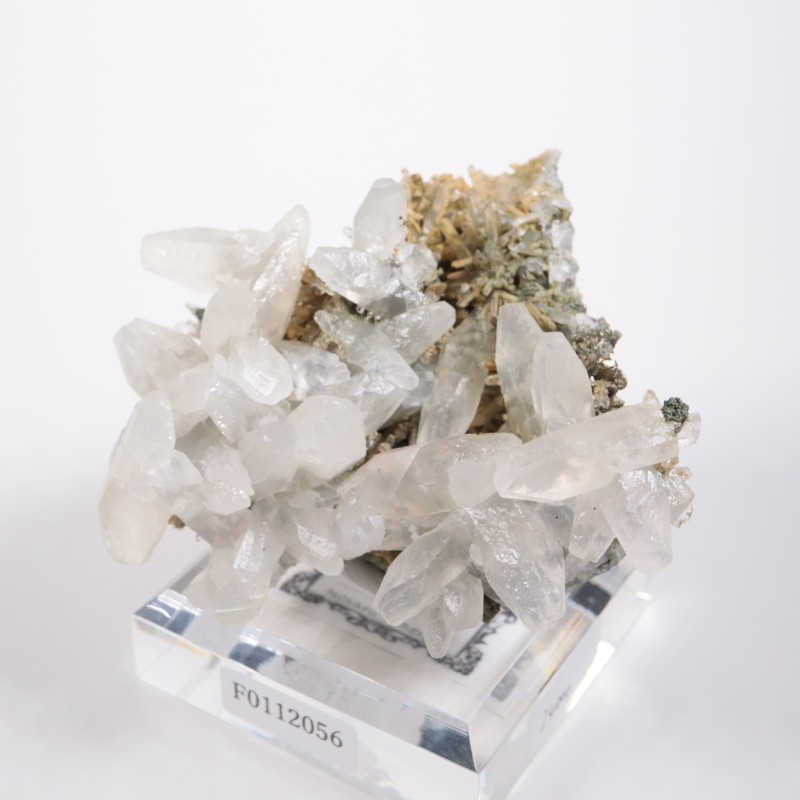 �֥륬�ꥢ�� ���륵���ȡ���������