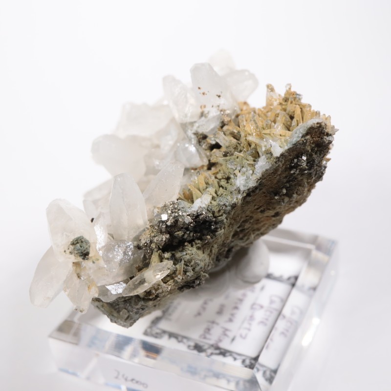 �֥륬�ꥢ�� ���륵���ȡ���������