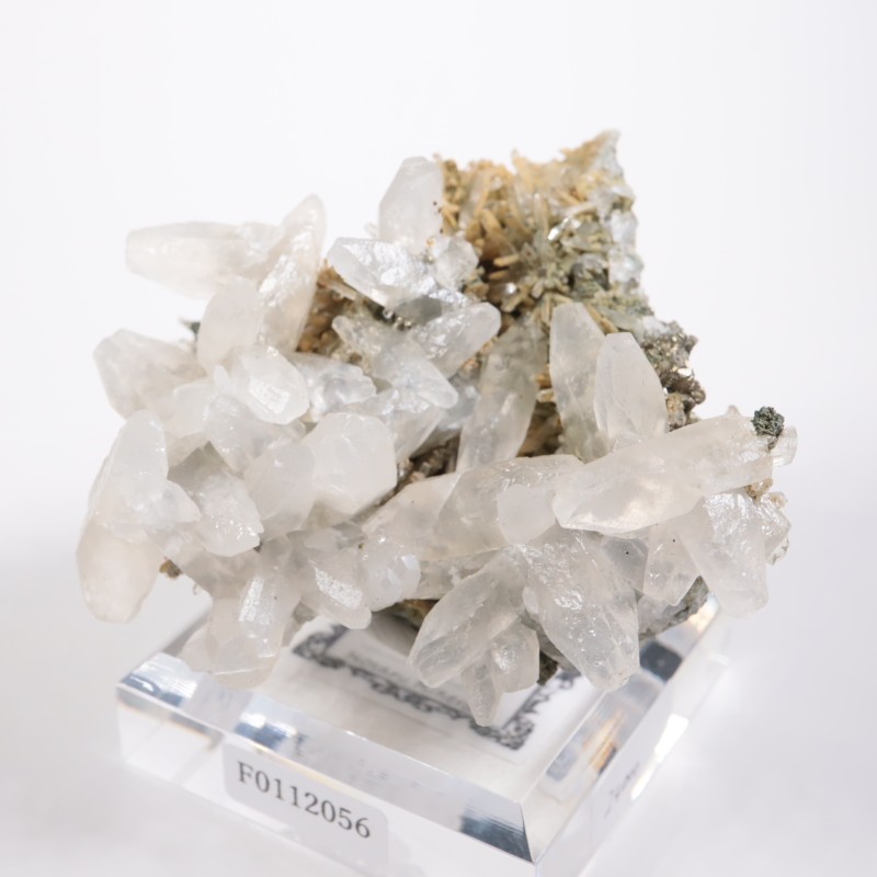 �֥륬�ꥢ�� ���륵���ȡ���������