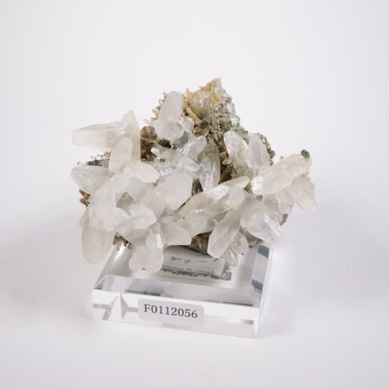 �֥륬�ꥢ�� ���륵���ȡ���������