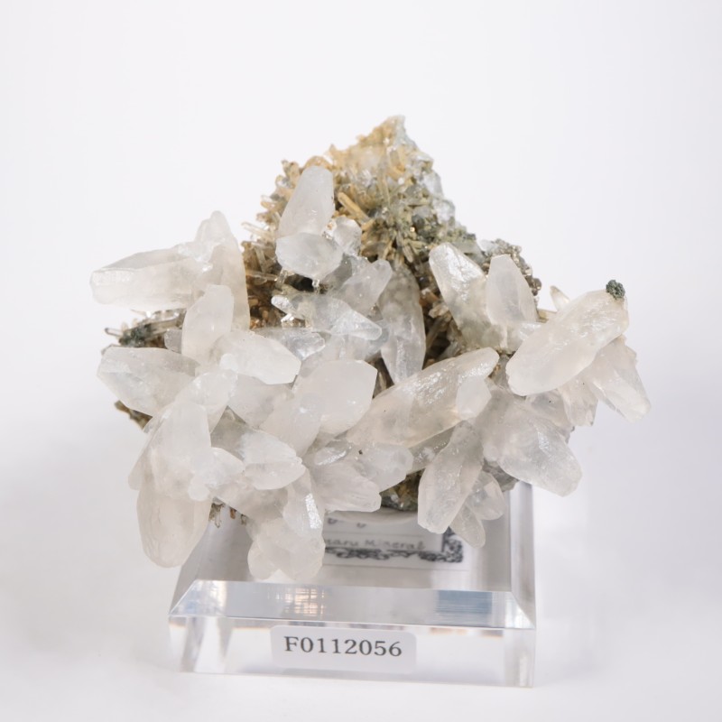 �֥륬�ꥢ�� ���륵���ȡ���������