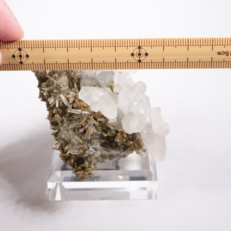 �֥륬�ꥢ�� ���륵���ȡ���������