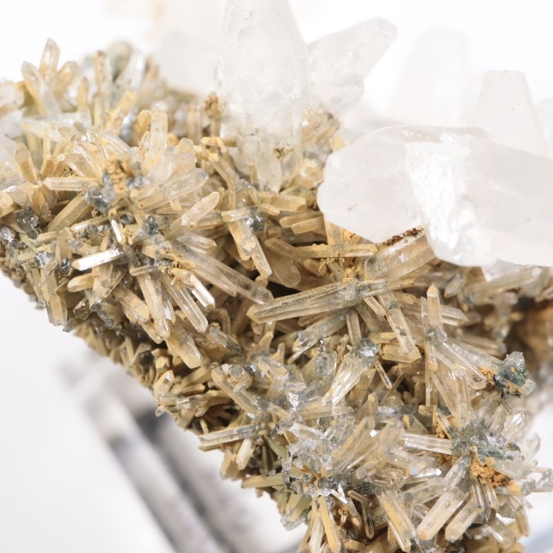 �֥륬�ꥢ�� ���륵���ȡ���������