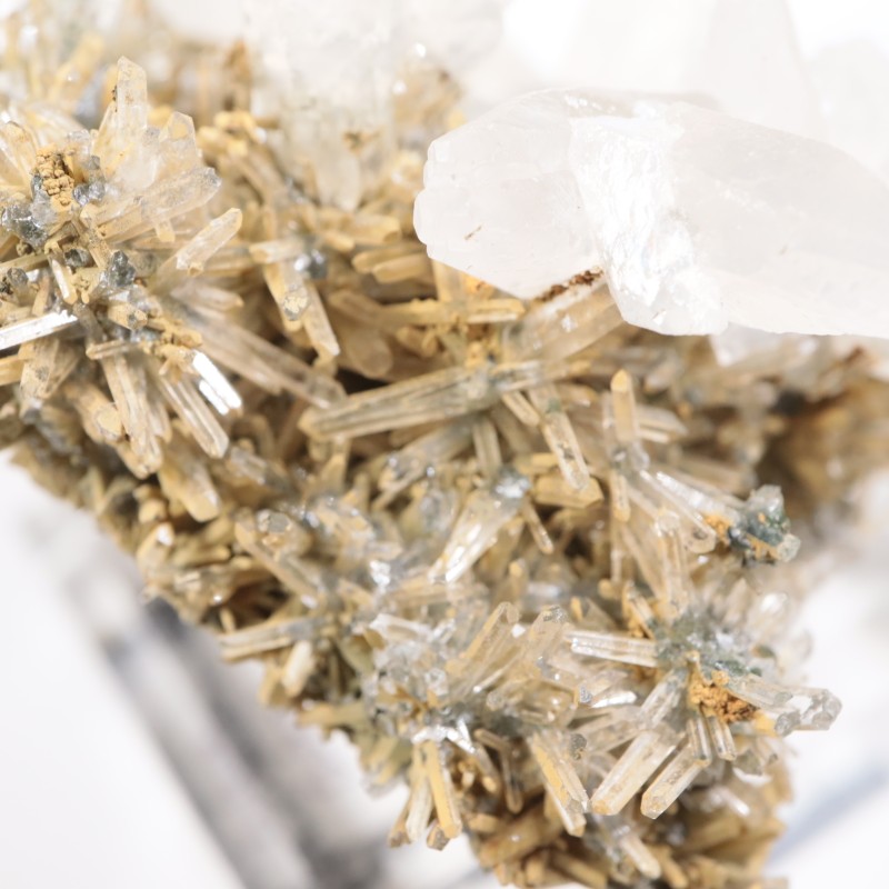 �֥륬�ꥢ�� ���륵���ȡ���������