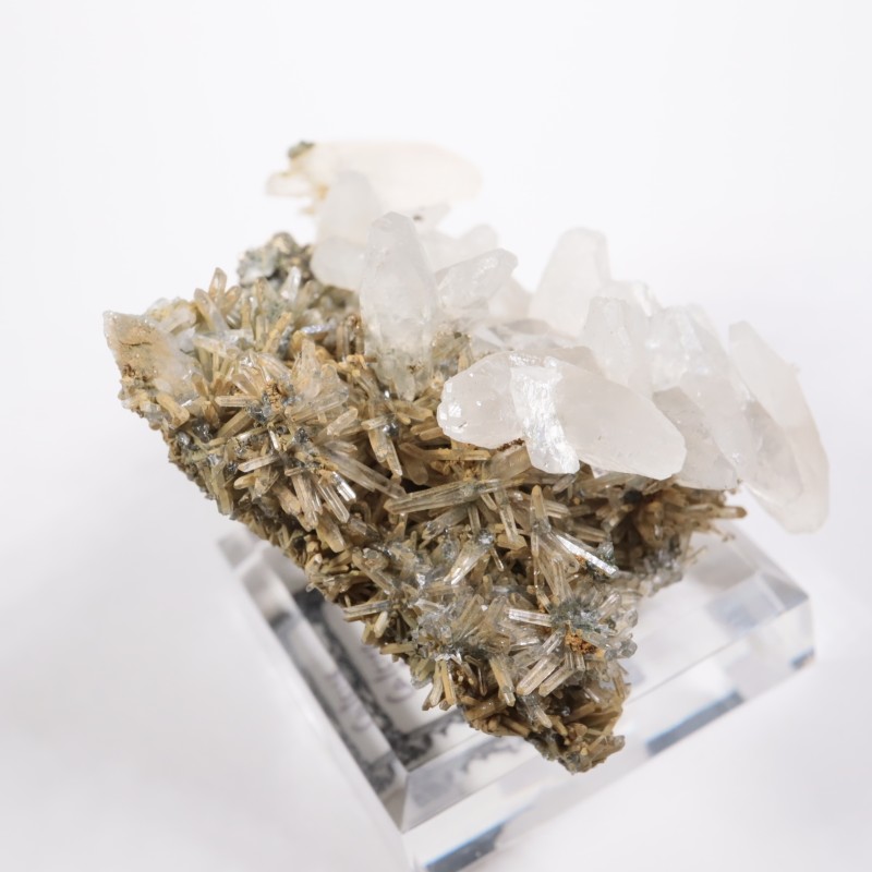 �֥륬�ꥢ�� ���륵���ȡ���������