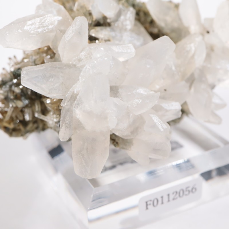 �֥륬�ꥢ�� ���륵���ȡ���������