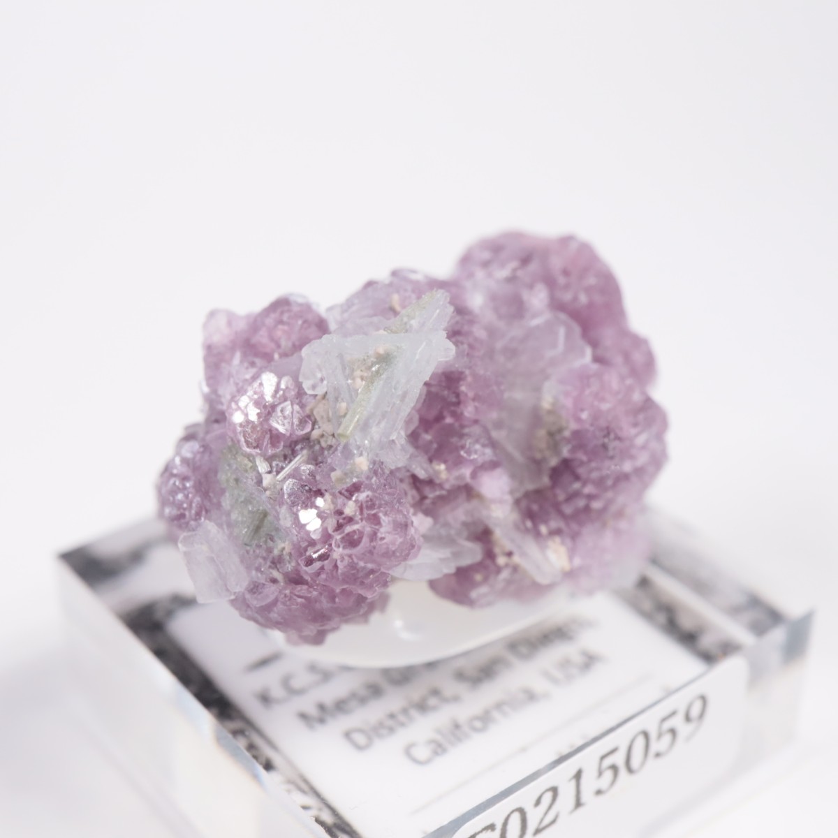 ����ե���˥����� ��ԥɥ饤�ȡ����꡼�֥�������