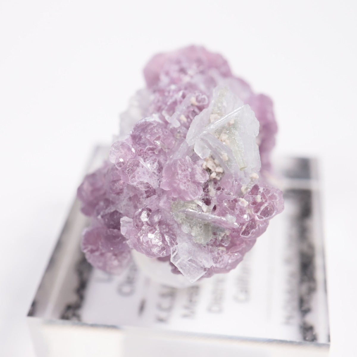 ����ե���˥����� ��ԥɥ饤�ȡ����꡼�֥�������