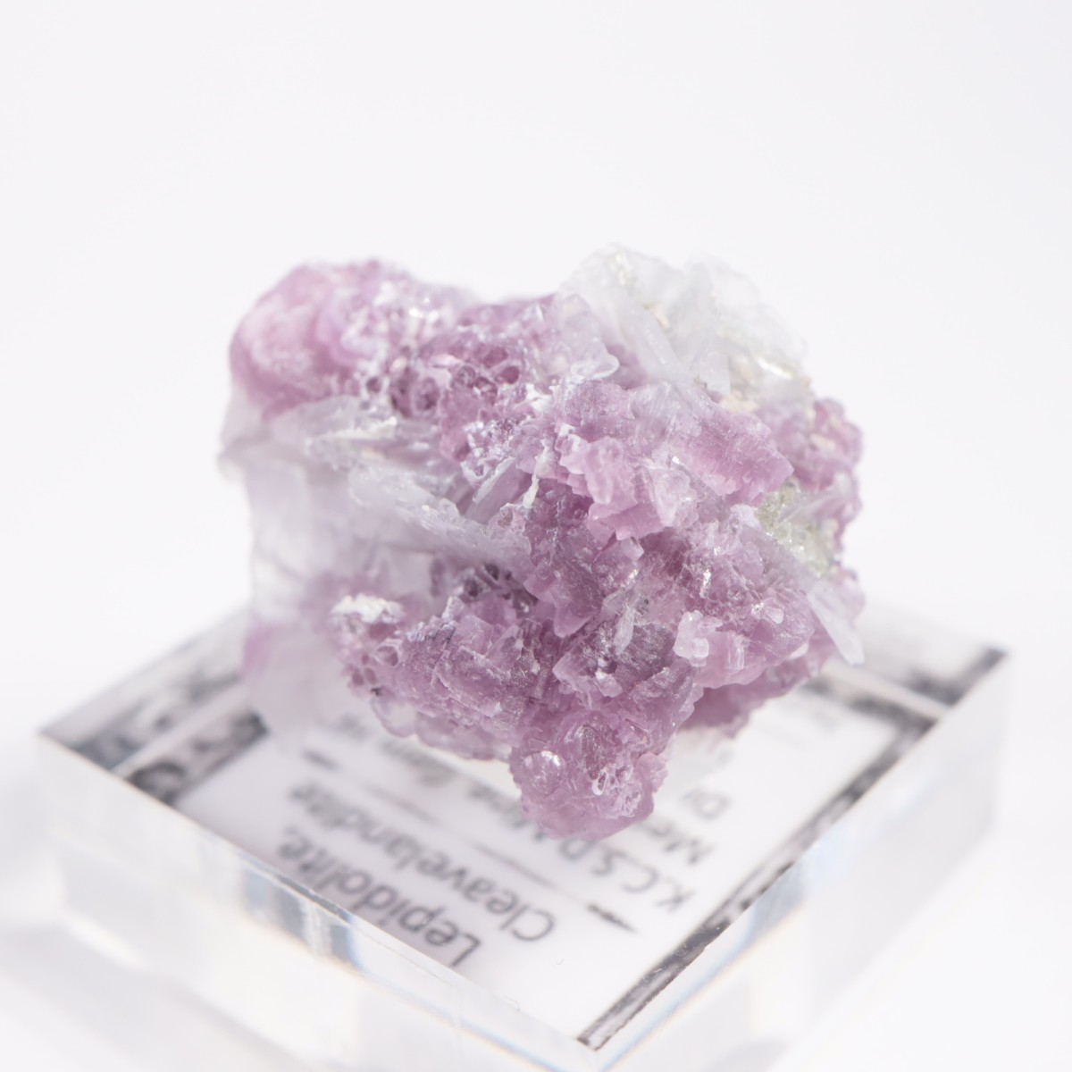 ����ե���˥����� ��ԥɥ饤�ȡ����꡼�֥�������