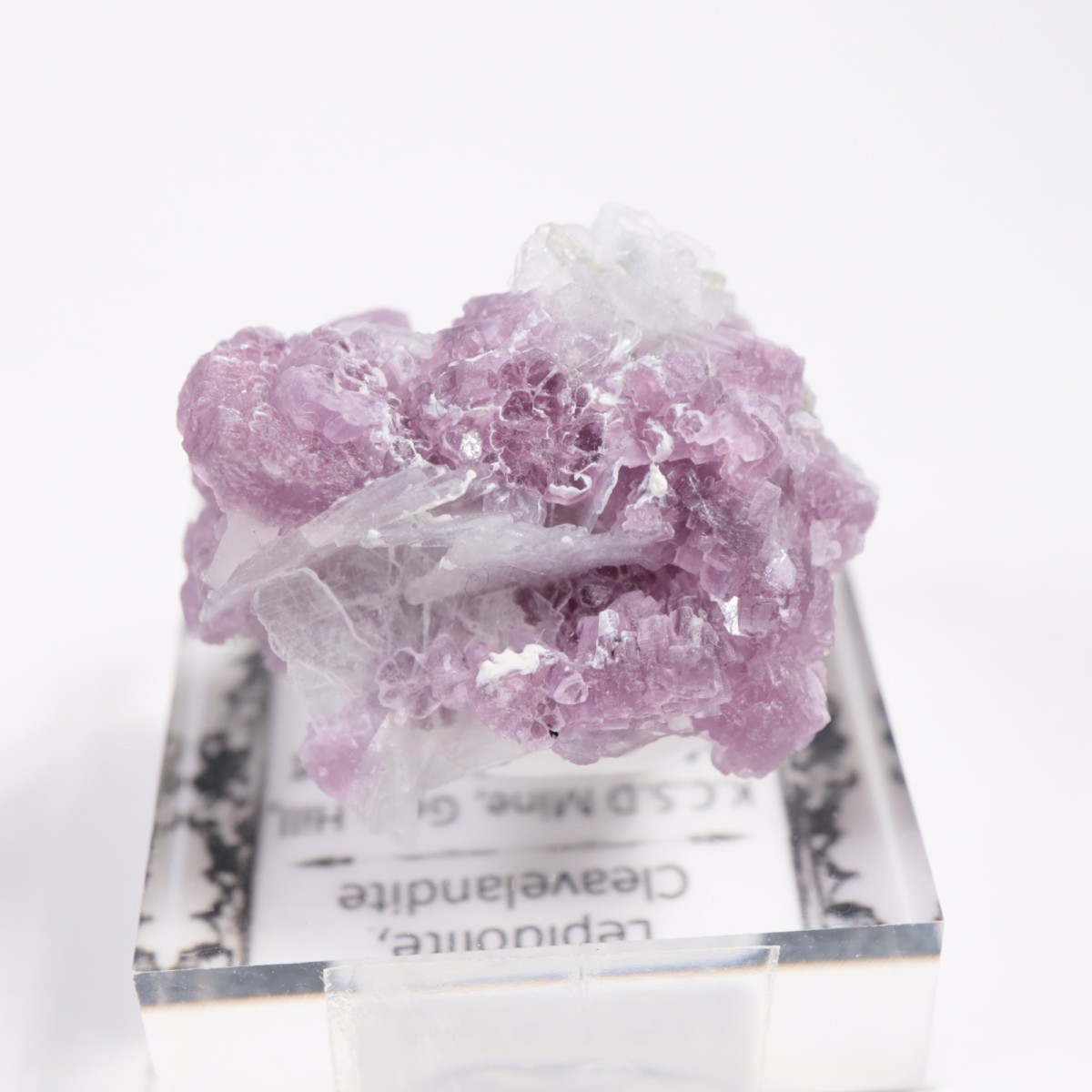 ����ե���˥����� ��ԥɥ饤�ȡ����꡼�֥�������